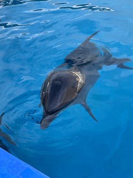 マリンワールド海の中道に投稿された画像（2022/8/15）