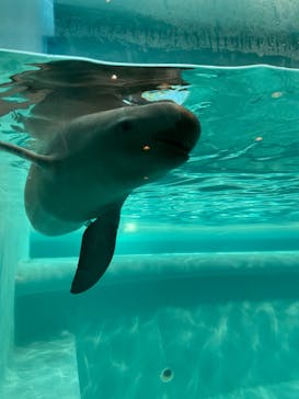 マリンワールド海の中道に投稿された画像（2022/8/15）