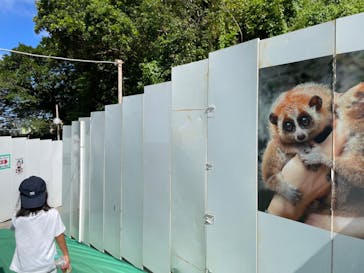 沖縄こどもの国に投稿された画像（2022/8/15）