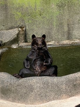 阿蘇カドリー・ドミニオンに投稿された画像（2022/8/15）