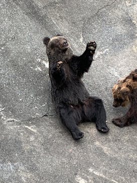 阿蘇カドリー・ドミニオンに投稿された画像（2022/8/15）