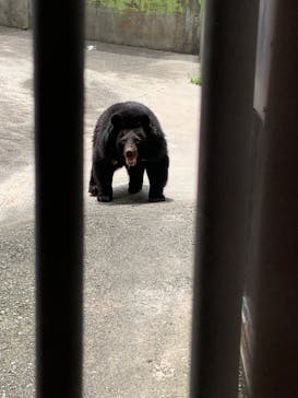 阿蘇カドリー・ドミニオンに投稿された画像（2022/8/15）