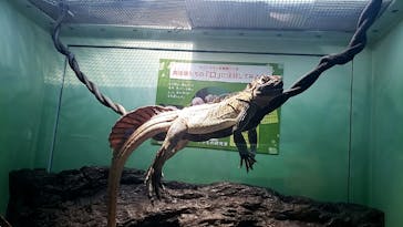 サンシャイン水族館に投稿された画像（2022/8/15）