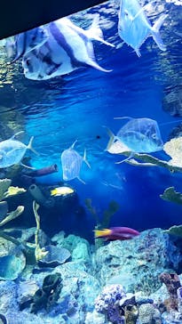 サンシャイン水族館に投稿された画像（2022/8/15）