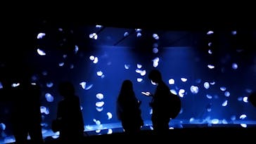 サンシャイン水族館に投稿された画像（2022/8/15）