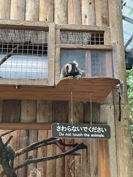 神戸どうぶつ王国に投稿された画像（2022/8/15）