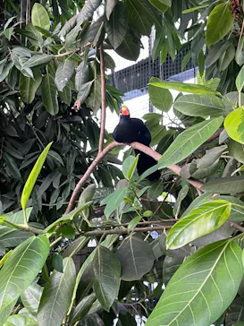 神戸どうぶつ王国に投稿された画像（2022/8/15）