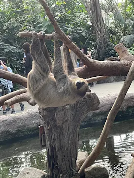 神戸どうぶつ王国に投稿された画像（2022/8/15）