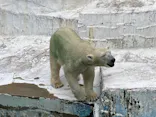 天王寺動物園に投稿された画像（2022/8/15）