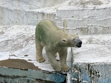 天王寺動物園に投稿された画像（2022/8/15）
