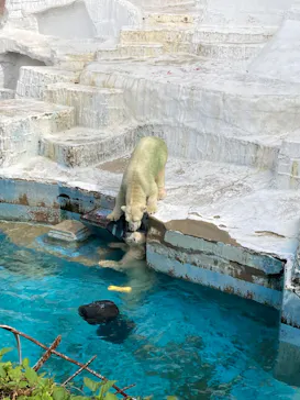 天王寺動物園に投稿された画像（2022/8/15）