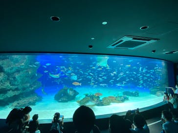 サンシャイン水族館に投稿された画像（2022/8/15）