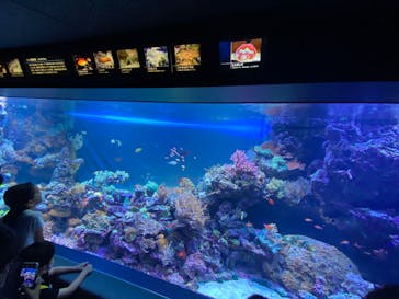 サンシャイン水族館に投稿された画像（2022/8/15）