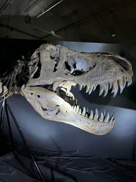 ひらかたパークに投稿された画像（2022/8/15）