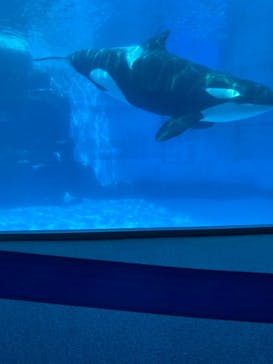 名古屋港水族館に投稿された画像（2022/8/15）