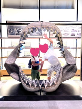 アクアワールド茨城県大洗水族館に投稿された画像（2022/8/15）