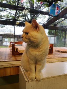 那須どうぶつ王国に投稿された画像（2022/8/15）