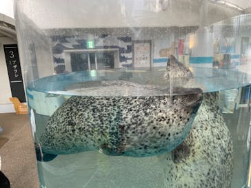 京都水族館に投稿された画像（2022/8/15）