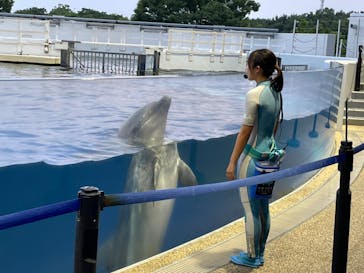 京都水族館に投稿された画像（2022/8/15）