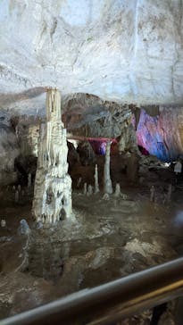 あぶくま洞に投稿された画像（2022/8/15）