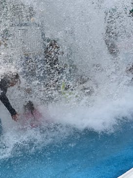 日本モンキーパークに投稿された画像（2022/8/15）