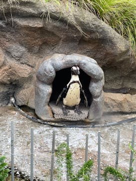 サンシャイン水族館に投稿された画像（2022/8/15）
