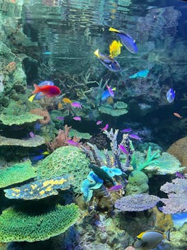 サンシャイン水族館に投稿された画像（2022/8/15）