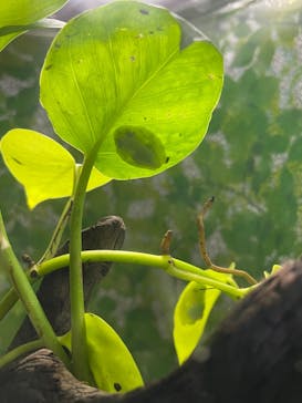 サンシャイン水族館に投稿された画像（2022/8/15）
