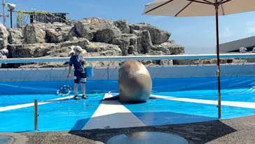 大分マリーンパレス水族館 「うみたまご」に投稿された画像（2022/8/15）