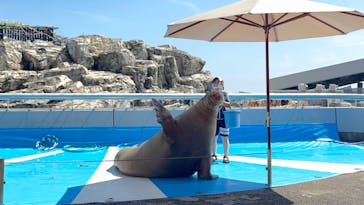 大分マリーンパレス水族館 「うみたまご」に投稿された画像（2022/8/15）