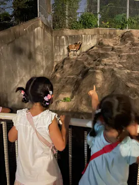 天王寺動物園に投稿された画像（2022/8/15）