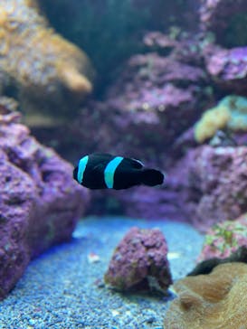 サンシャイン水族館に投稿された画像（2022/8/15）