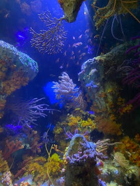 サンシャイン水族館に投稿された画像（2022/8/15）