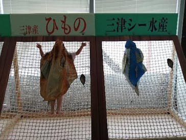 伊豆・三津シーパラダイスに投稿された画像（2022/8/15）