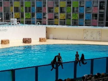 伊豆・三津シーパラダイスに投稿された画像（2022/8/15）