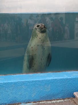 南知多ビーチランド＆南知多おもちゃ王国に投稿された画像（2022/8/15）