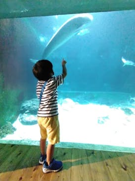 南知多ビーチランド＆南知多おもちゃ王国に投稿された画像（2022/8/15）