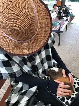 秋吉台自然動物公園 サファリランドに投稿された画像（2022/8/15）