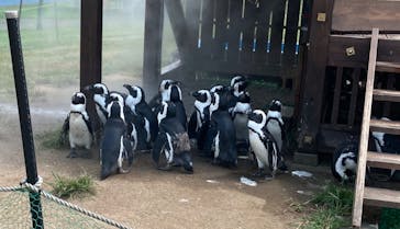 名古屋港水族館に投稿された画像（2022/8/15）