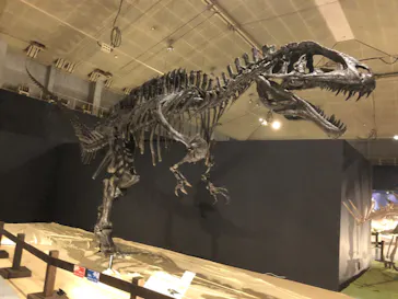 ひらかたパークに投稿された画像（2022/8/15）