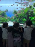 すみだ水族館に投稿された画像（2022/8/15）