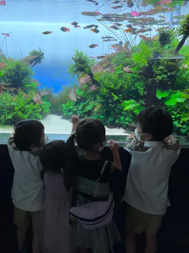 すみだ水族館に投稿された画像（2022/8/15）