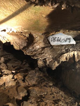 あぶくま洞に投稿された画像（2022/8/15）