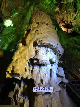 あぶくま洞に投稿された画像（2022/8/15）