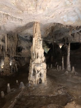 あぶくま洞に投稿された画像（2022/8/15）