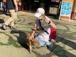 伊豆シャボテン動物公園に投稿された画像（2022/8/16）