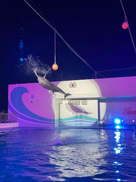 南知多ビーチランド＆南知多おもちゃ王国に投稿された画像（2022/8/15）