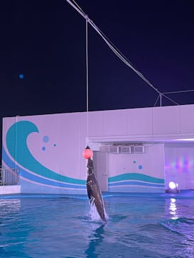 南知多ビーチランド＆南知多おもちゃ王国に投稿された画像（2022/8/15）