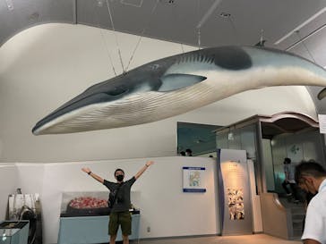 名古屋港水族館に投稿された画像（2022/8/15）