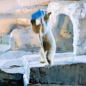 天王寺動物園に投稿された画像（2022/8/15）